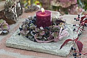 Kerzenkranz aus verblühten Blüten von Hydrangea (Hortensie)