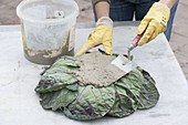 Make your own cabbage-leaf bowl from quick-set screed