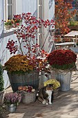 Autumn arrangement in pots on wooden deck