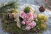 Small bouquet of Rosa (roses) and Pinus (pine) in burlap cuff