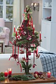 Mini willow tree as Advent calendar, decorated with Pinus (pine)