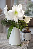 Bouquet with Hippeastrum (amaryllis), Hedera (ivy) and Pinus (pine)