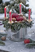 Empty tin as an unusual Advent wreath: Wreath made of Abies (fir)