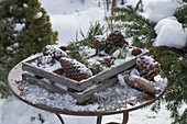 Winterlicher Terrassentisch mit Zapfen und Zweigen von Pinus (Kiefer)
