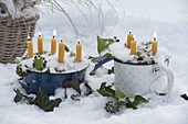 Emaillierte Töpfe mit Hedera (Efeu) als Kerzenhalter im Schnee