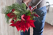 Christmas bouquet of Euphorbia pulcherrima (poinsettia), Pinus