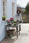 Frau arrangiert rosa Frühlingstisch auf der Terrasse