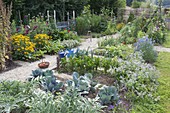 Vegetable garden with Rudbeckia 'Goldsturm' (sun hat), artichokes