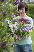 Woman with freshly cut Syringa (Lilac) for scented bouquet