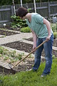 Vegetable sowing with seed tape