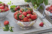 Freshly picked strawberries (Fragaria) in bowls on a tray