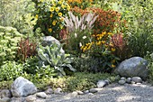 Late summer bed with boulders and gravel: Pennisetum setaceum