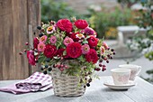 Red bouquet of pink (rose), blackberries (Rubus), zinnias