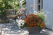 Grey concrete bowl with summer flowers and grasses