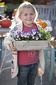 Mädchen trägt kleinen Kasten mit Viola cornuta Twix 'Lilac Wing'