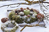 Wooden tray with moss wreath, cones and tree glass cones