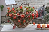 Wreath made of clematis (clematis) tendrils and hedera (ivy)