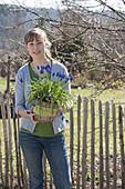 Frau mit Muscari siberica (Traubenhyazinthen) im Korb