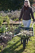 Woman clearing vegetable garden in autumn