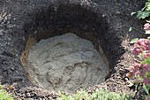 Wasserspiel mit Frosch auf Granit-Säule aufbauen