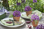 Table decoration of garlic and fennel