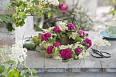 Fragrant pink wreath 'Rose De Resht' (Damascene rose)
