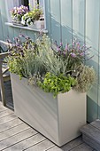 Hoher Kunststoffkasten als Kräutergarten auf der Terrasse