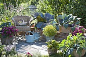 Vegetable Terrace