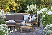 Terrace with white plants, lounge corner and table, Hydrangea 'Annabelle'