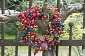 Profiteroles of wild fruits with sloes, rose hips