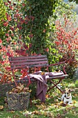 Rote Bank im herbstlichen Garten, Korb mit Herbstlaub