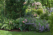 Metall-Stuhl am Beet mit blühenden Rosa (Rosen), Salbei (Salvia officinalis), Hosta (Funkien), Taxus baccata (Eibe), hinten Laube mit Kletterrose und Bank