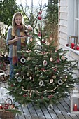 Nordmann fir as bird food Christmas tree on terrace