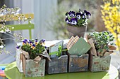 Alte Holz-Box mit kleinen Schubladen als Geschenk für Gartenfreundin Luisa