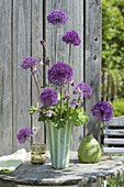 Unusual bouquet of Allium 'Purple Sensation'