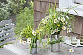 Wiesenstraeusse aus Gräsern, Leucanthemum (Margeriten) und Ranunculus