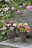 Bouquets of Rose, alchemilla, aquilegia