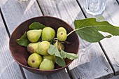 Bowl with freshly picked figs