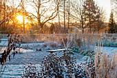 Ellicar GARDENS, Nottinghamshire: GRASSES AND WOODEN BENCH with VIEW ACROSS THE Pool with Sunrise