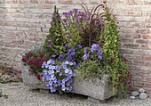 Planted stone trough on gravel terrace