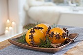 Weihnachtsduft : Orangen (Citrus sinensis) mit Sternanis an Silberdraht