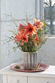 Winterlicher Strauss mit Amaryllis (Hippeastrum) und Zweigen