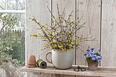 Bouquet of Cornus mas branches and pot with viola