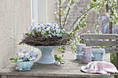 Light blue table decoration of viola cornuta and myosotis