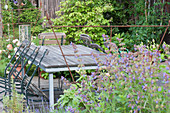 Seating on wooden deck in the natural garden