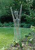 Creeper made from chicken wire