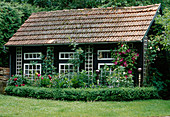 Garden house with pinks (climbing roses, clematis, paeonia)