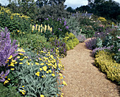 Perennial bed in yellow (lilac)