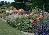 Alstroemeria, Lavender, Geranium