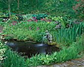 Kleiner Teich mit Hosta (Funkie), Primula (Primel), Iris und Rodgersia